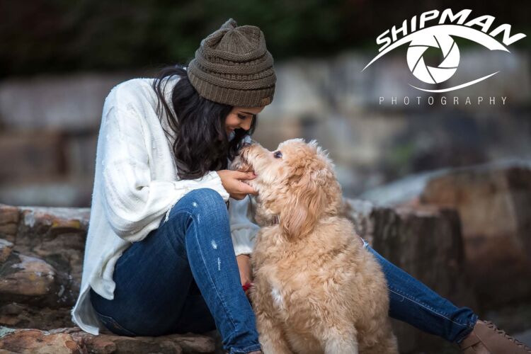 pet portraits tulsa533