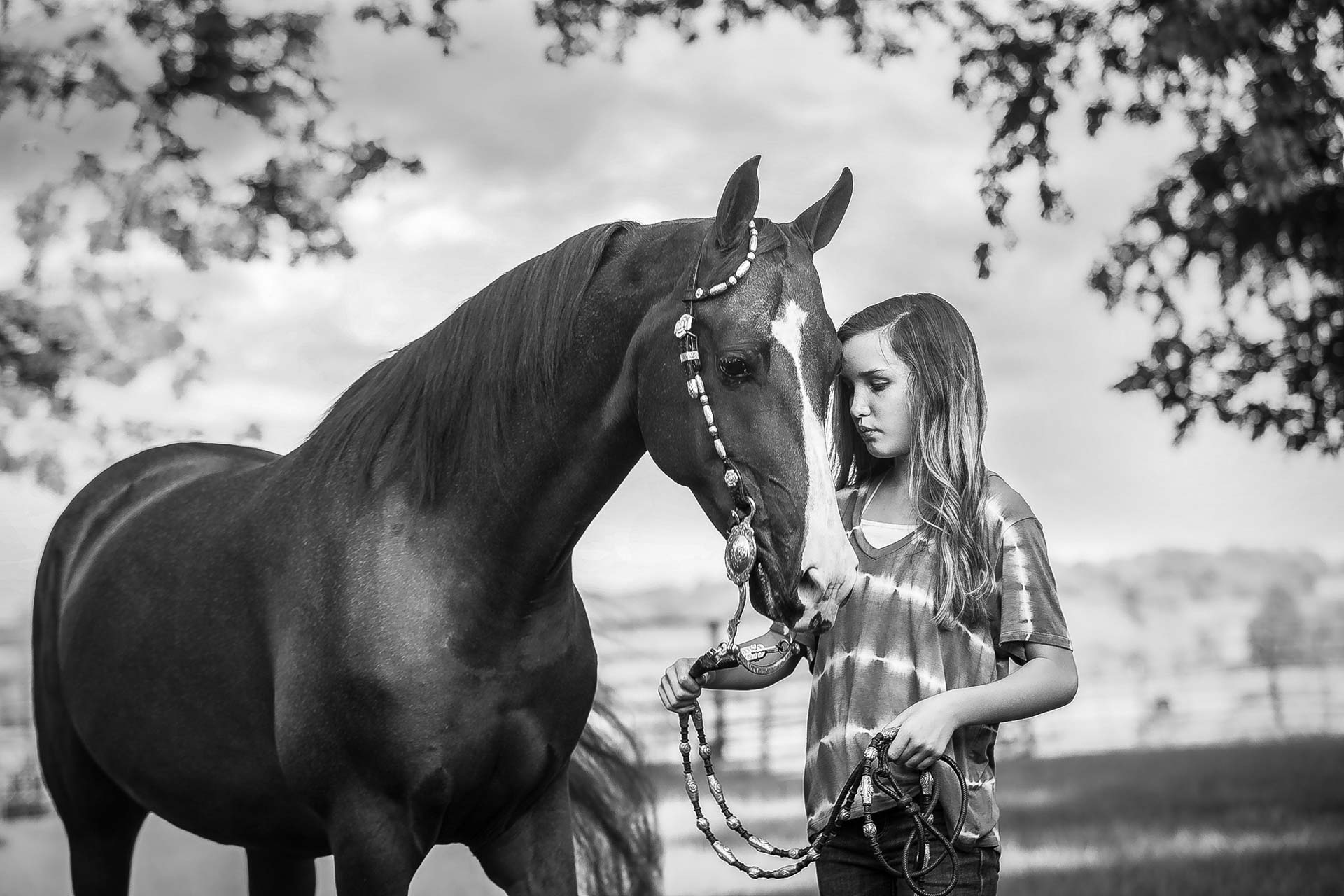 pet portraits tulsa537 beautiful horse and rider posing together for animal photography