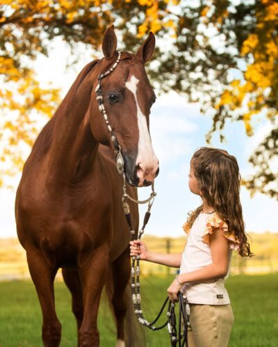 pet portraits tulsa541