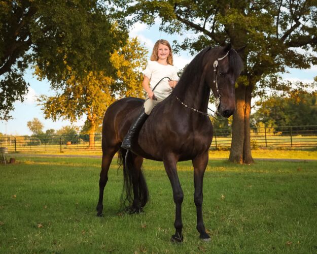 pet portraits tulsa546
