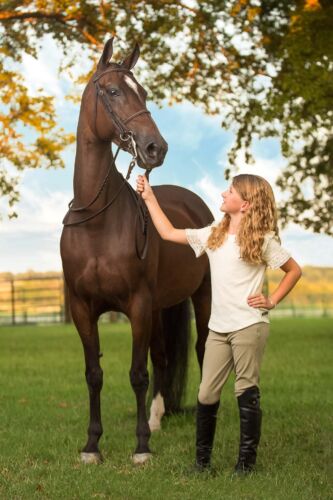 pet portraits tulsa547
