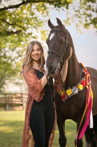 pet portraits tulsa559