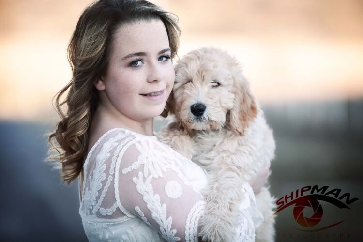 pet portraits tulsa570
